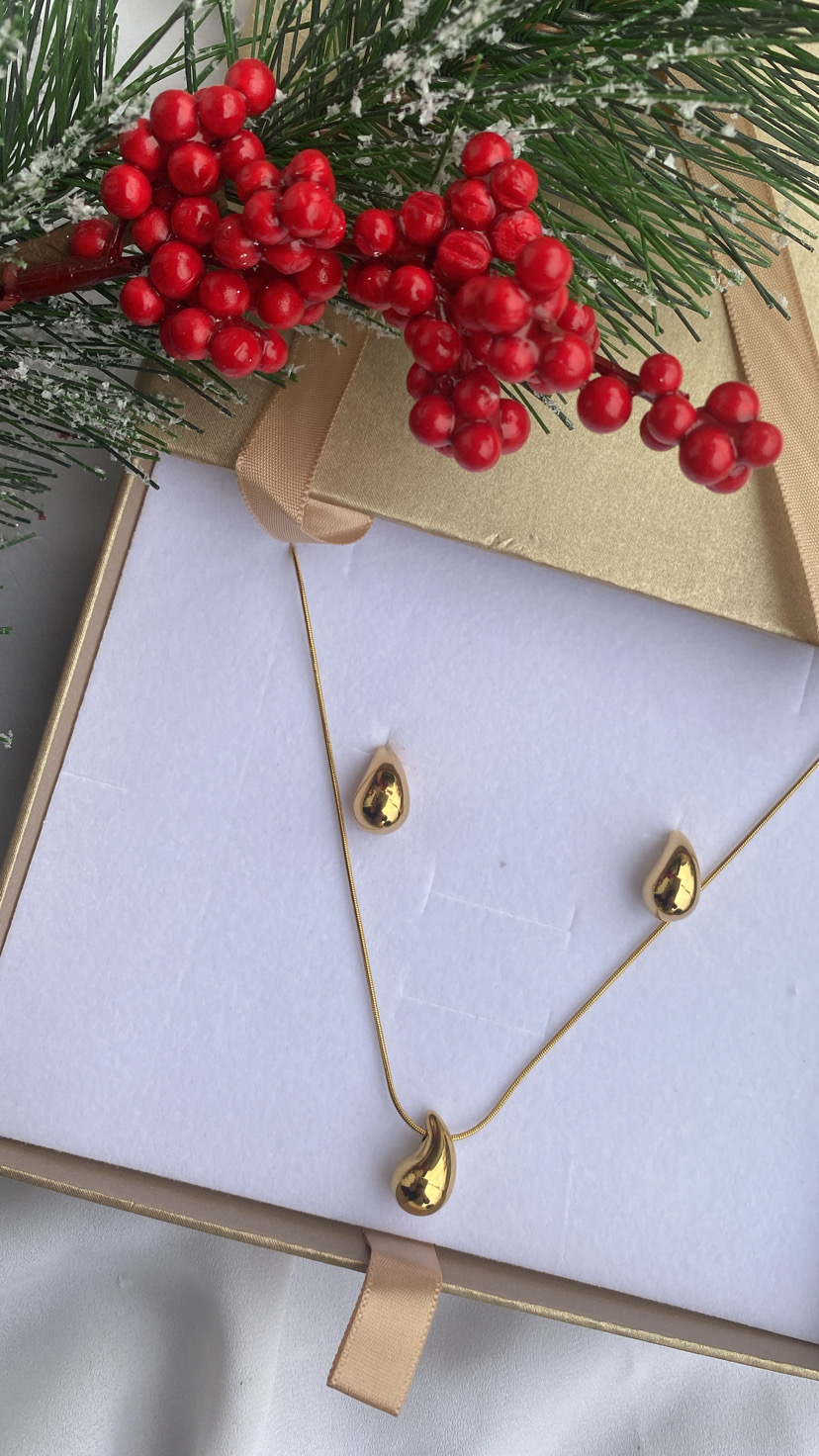 Conjunto de colar e brincos dourados em caixa com fita bege e decoração de ramo verde com bagas vermelhas