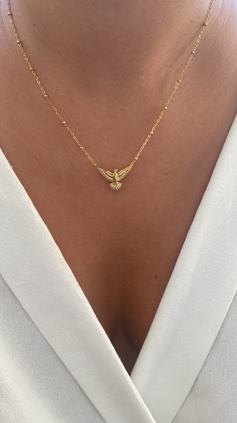 Colar dourado com pendente de pássaro no pescoço de uma pessoa
