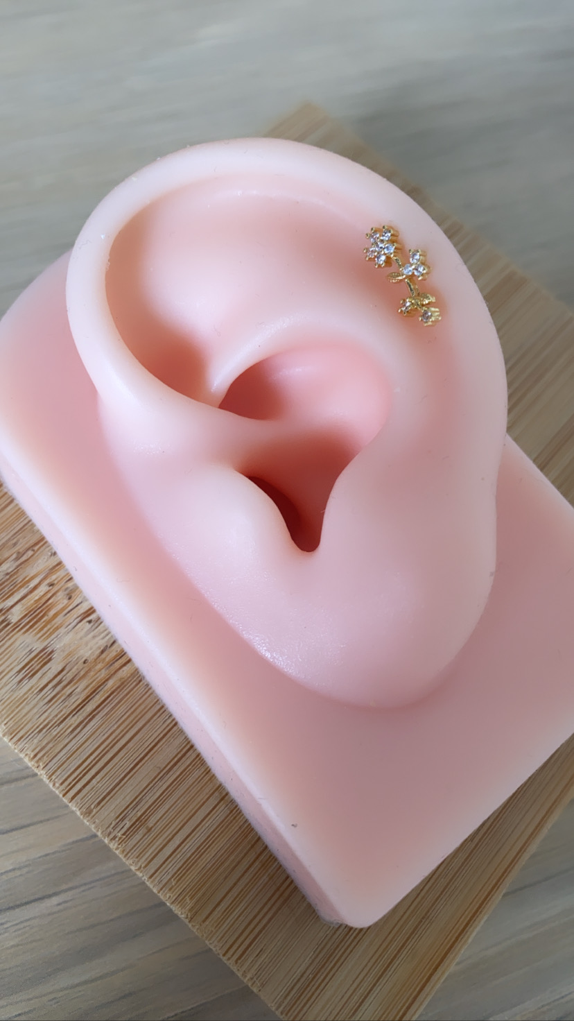 Modelo de orelha cor de pele com brinco dourado em base de madeira