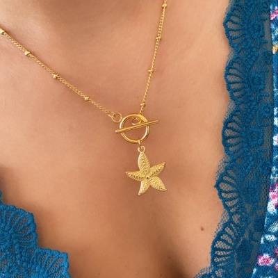 Colar dourado com pendente de estrela do mar e vestuário azul com renda