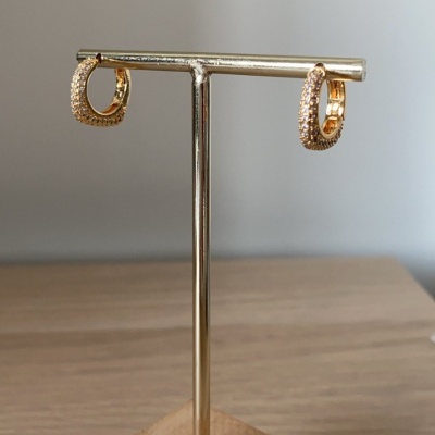 Brincos&#x20;triumph