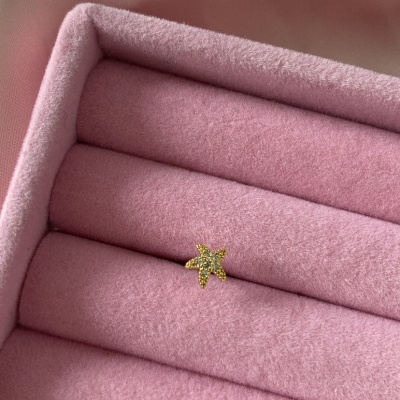 Brinco dourado em formato de estrela-do-mar sobre estojo rosa