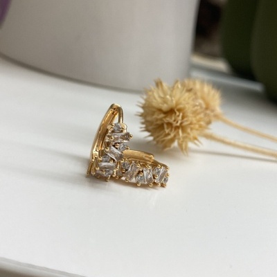 Brinco dourado com pedras transparentes sobre superfície branca com plantas secas ao fundo