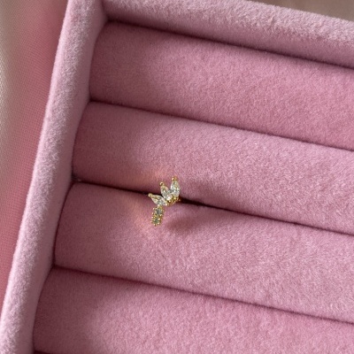 Brinco pequeno dourado com pedras em caixa de veludo rosa