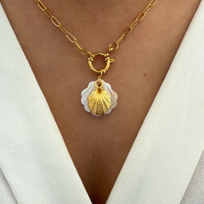 Colar dourado com pendente de concha e fundo branco, usado ao redor do pescoço.