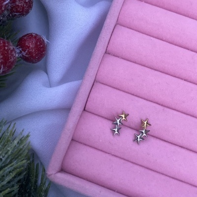 Brincos de estrelas em caixa rosa com decoração de frutos vermelhos e neve artificial