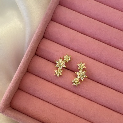 Brincos&#x20;contorno