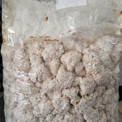 Saco plástico com blocos brancos com manchas castanhas dentro