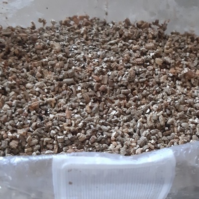 Vermiculite granulada castanha clara em saco plástico transparente
