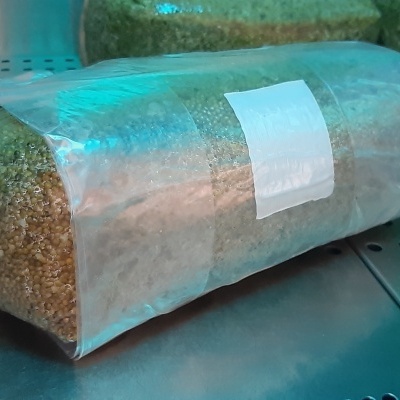 Pacote plástico transparente contendo produto alimentar granular castanho numa superfície metálica.