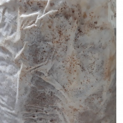 Saco plástico transparente com produto granular castanho