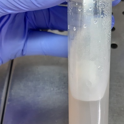 Frasco plástico transparente com tampa branca e líquido esbranquiçado, segurado por mão com luva azul