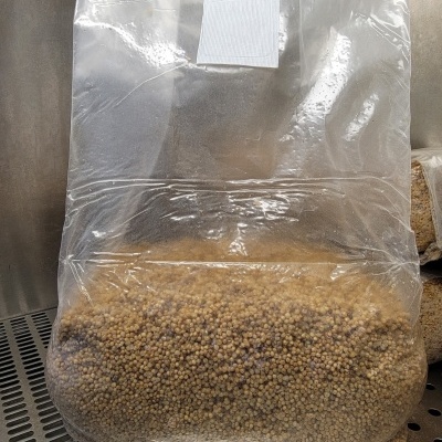 Saco plástico transparente com pequenas esferas castanhas e etiqueta branca