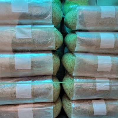 Pacotes de pão tipo baguete embalados em plástico transparente empilhados numa prateleira