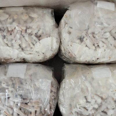 Blocos de substrato embalados em plástico para cultivo de cogumelos numa caixa