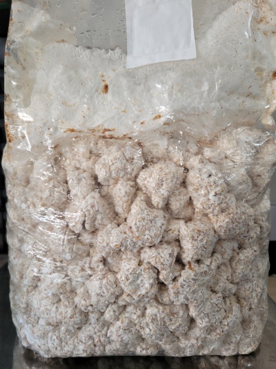 Saco plástico com blocos brancos com manchas castanhas dentro