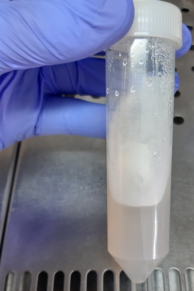 Frasco plástico transparente com tampa branca e líquido esbranquiçado, segurado por mão com luva azul