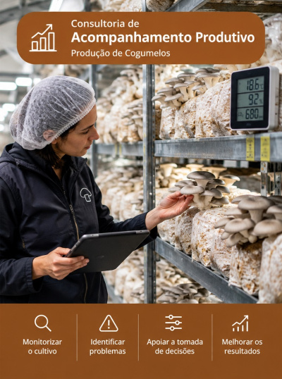 Mulher examinando cogumelos em sacos plásticos numa estante com monitor digital e texto sobre consultoria de acompanhamento produtivo