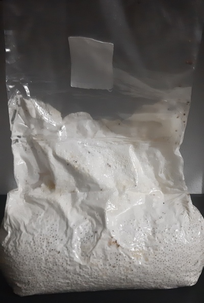 Saco plástico transparente com pó branco granulado