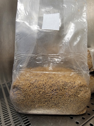 Biocélio | Grão suplementado estéril para produção de spawn
