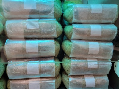 Pacotes de pão tipo baguete embalados em plástico transparente empilhados numa prateleira