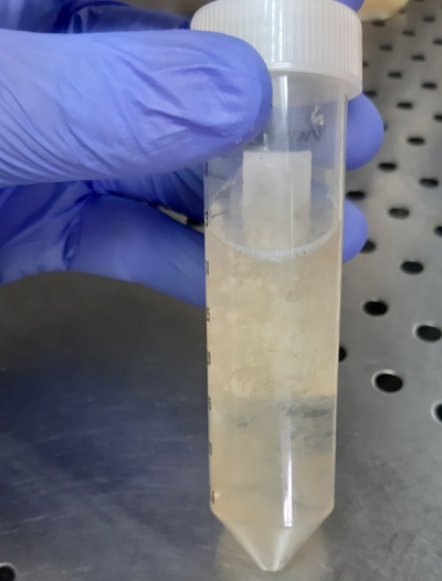 Frasco transparente com líquido turvo, mão com luva azul segurando, superfície metálica perfurada