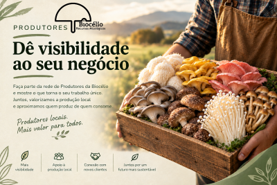 Caixa de cogumelos coloridos frescos em mãos com paisagem ao fundo