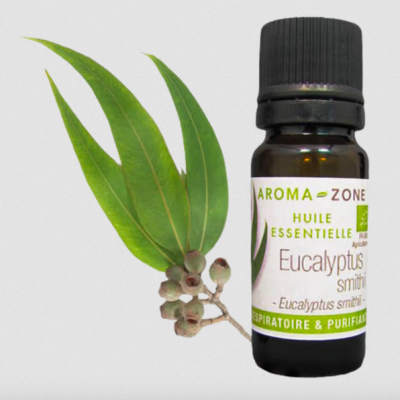 Frasco de óleo essencial de Eucalyptus smithii com folhas e bagas.