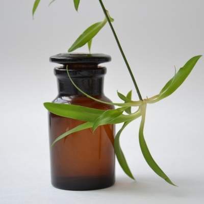 Frasco vintage em vidro castanho com folhas verdes