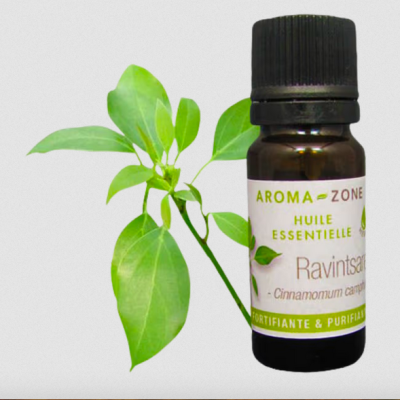 Frasco de óleo essencial de Ravintsara com ramo de folhas verdes