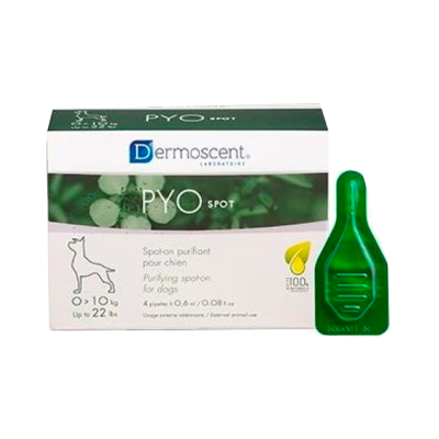 Embalagem Dermoscent PYO Spot para cães e ampolas verdes de solução purificante.