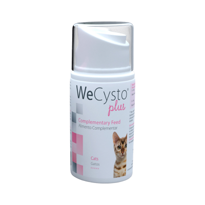 Frasco branco de suplemento alimentar WeCysto plus para gatos com imagem de gato na etiqueta