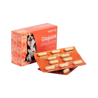 Suplemento alimentar Glojoint para cães com embalagem e blisters laranja
