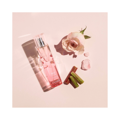 Frasco de perfume rosa com rosa creme e talos verdes em fundo rosa