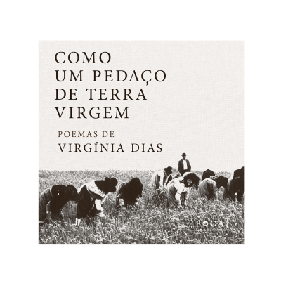 Como um Pedaço de Terra Virgem (ebook + mp3)