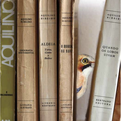 Guia das Aves de Aquilino Ribeiro (livro + qrcode)