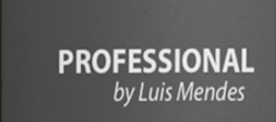Texto 'PROFESSIONAL by Luis Mendes' em fundo cinzento
