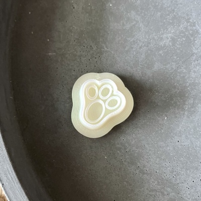 Base ou suporte em forma de pata translúcido sobre superfície cinzenta