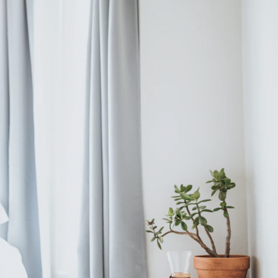 Vaso terracota com planta suculenta e café sobre superfície branca.