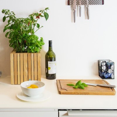 Cozinha moderna com utensílios e plantas