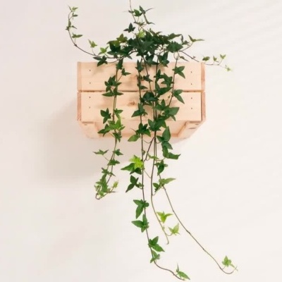 Droplet Plant Kit 🌱