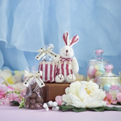 🐰 Coelho de Peluche com Ovinhos de Chocolate