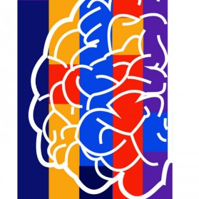 Capa de livro com ilustração colorida de cérebro e texto