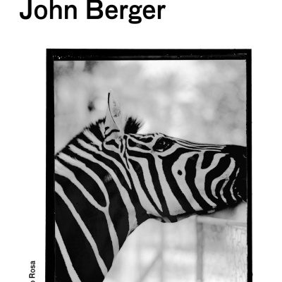 Capa de livro com fotografia em preto e branco de uma zebra e texto com título e tradutor