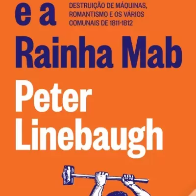 Capa de livro laranja com texto azul e branco e ilustração de homem com martelo