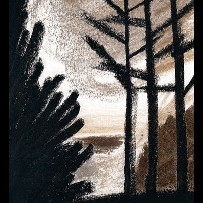 Desenho de árvores na floresta à noite com texto em português