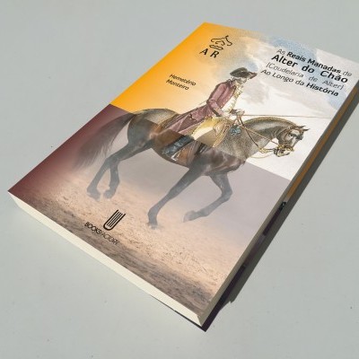 Livro com capa ilustrada mostrando uma figura a cavalo, em fundo amarelo, branco e areia.