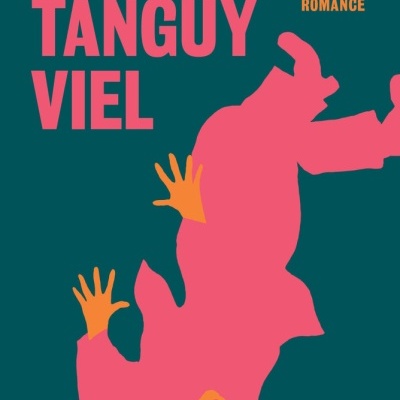 Capa do livro Artigo 353 de Tanguy Viel