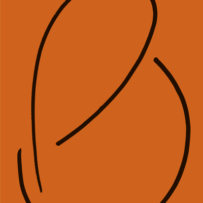 Capa de livro castanha com desenho abstrato a preto e texto em português.