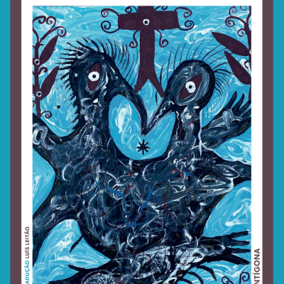 Capa de livro com título e imagem abstrata de dois pássaros negros com fundo azul